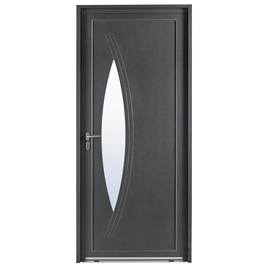 Porte-dentrée-aluminium-alu-Albédo-vitrée-Noir