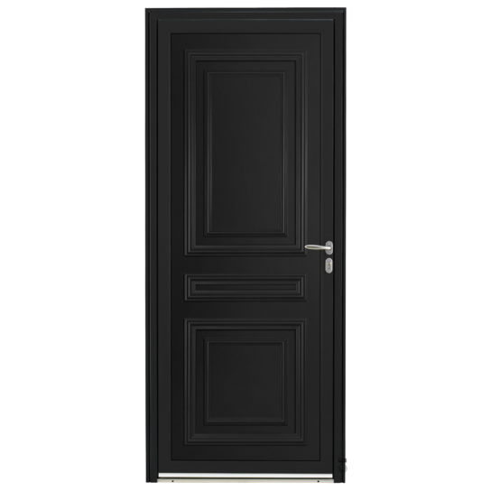 Porte d'entrée Aluminium Pasquet Valserine Noir 9005